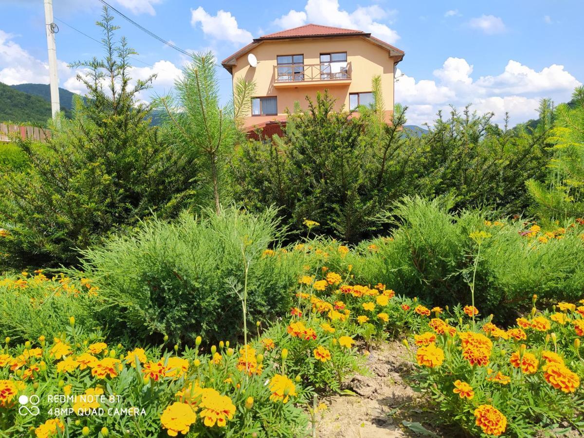 Bilovoddya Hotel Sil Zewnętrze zdjęcie