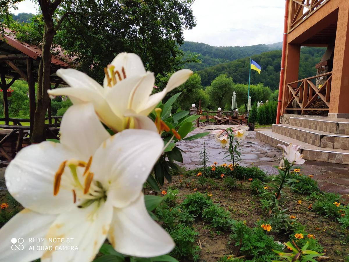 Bilovoddya Hotel Sil Zewnętrze zdjęcie